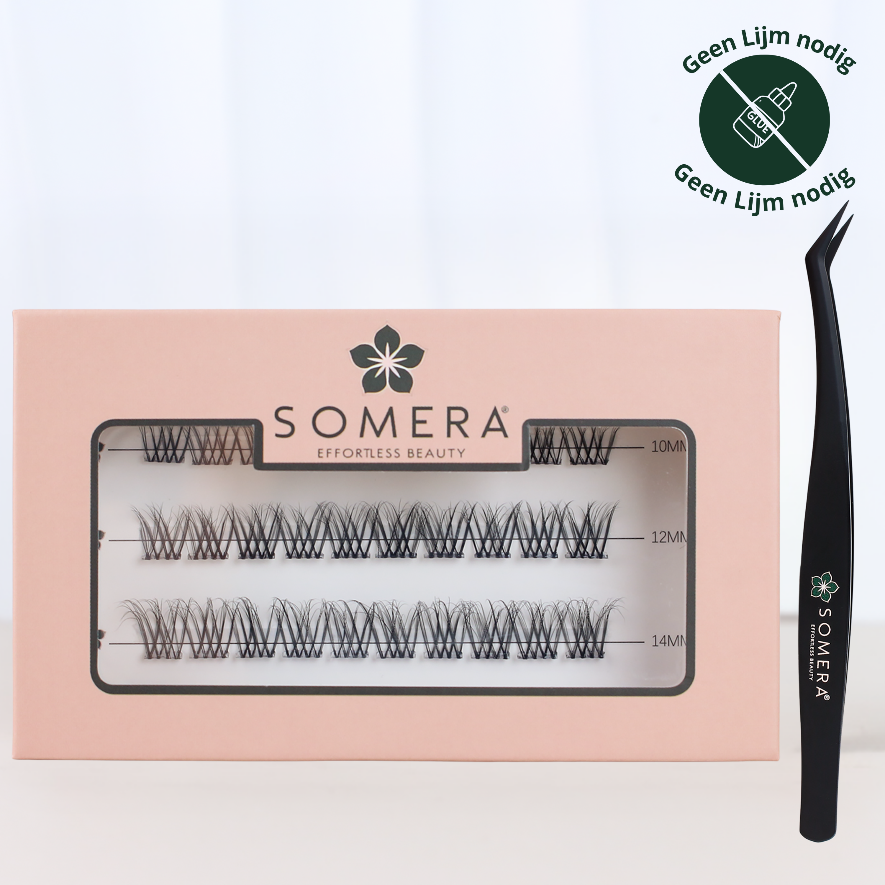 Press-on lash natural  kits